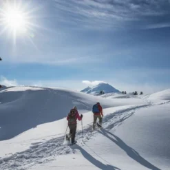 Crescent Moon Womens Athletic Trail Snowshoes With Crampons And No Slip Hook And Loop Binding, Fits Shoe Sizes 6W To 12W, Gold 13 Sapphire Blue -LITTLE TIKES Shop GUEST 0a3ccda2 d75e 4365 b61e 81ab3250eaa5