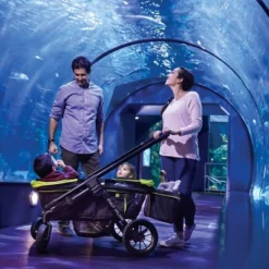 Evenflo Pivot Xplore All-Terrain Double Stroller Wagon -LITTLE TIKES Shop GUEST 0d0be4b5 cbe4 44f3 9a90 1d114d4af1cb