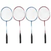 Triumph Sports Competition Badminton Set With Steel Pole