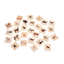 TickiT Domestic Animal Family Match, Set Of 28