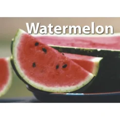 Stages Learning Materials Photographic Memory Matching Game, Fruit & Vegetables -LITTLE TIKES Shop GUEST 37f65446 d9cc 43d5 8838 23f94af94089