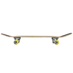 Roller Derby Deluxe Series Mr. Bear Skateboard -LITTLE TIKES Shop GUEST 55cad7ba 467c 45d9 96e6 09a8f3642f15