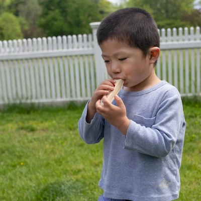 Melissa & Doug Band-in-a-Box Hum! Jangle! Shake! - 7-Piece Musical Instrument Set 5 Melissa & Doug Band-in-a-Box Hum! Jangle! Shake! - 7-Piece Musical Instrument Set - Image 5