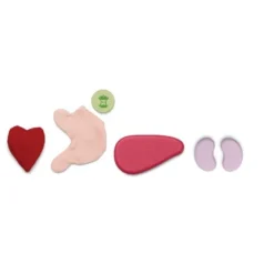 Plantoys Plan Toys SURGEON PLAY SET -LITTLE TIKES Shop GUEST 739daa4d 43f0 4260 9150 54c041ac627c