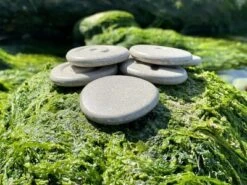 Plantoys| Tactile Stone -LITTLE TIKES Shop GUEST 9727f5ec 7c39 4299 bf1a 02b04f376791