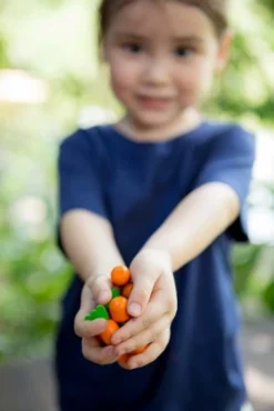 Plantoys| Solitaire 5 Plantoys| Solitaire -LITTLE TIKES Shop GUEST a480d545 1faf 4969 a60c b0f12a4eb061