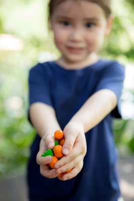 Plantoys| Solitaire 3 Plantoys| Solitaire - Image 3