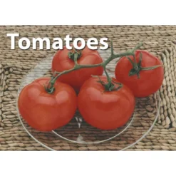 Stages Learning Materials Photographic Memory Matching Game, Fruit & Vegetables -LITTLE TIKES Shop GUEST b6cefe21 c42d 4000 b41d 18e7b571f233