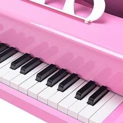 Costway Childs 30 Key Toy Grand Baby Piano W/ Kids Bench Wood Pink New -LITTLE TIKES Shop GUEST e42f7f5b 86d0 40c8 838b 28f4de907714
